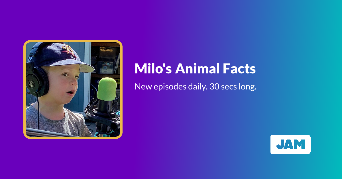Milo's Animal Facts | Jam